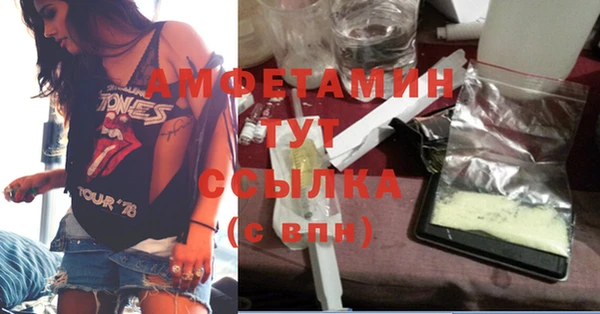 хмурый Горняк